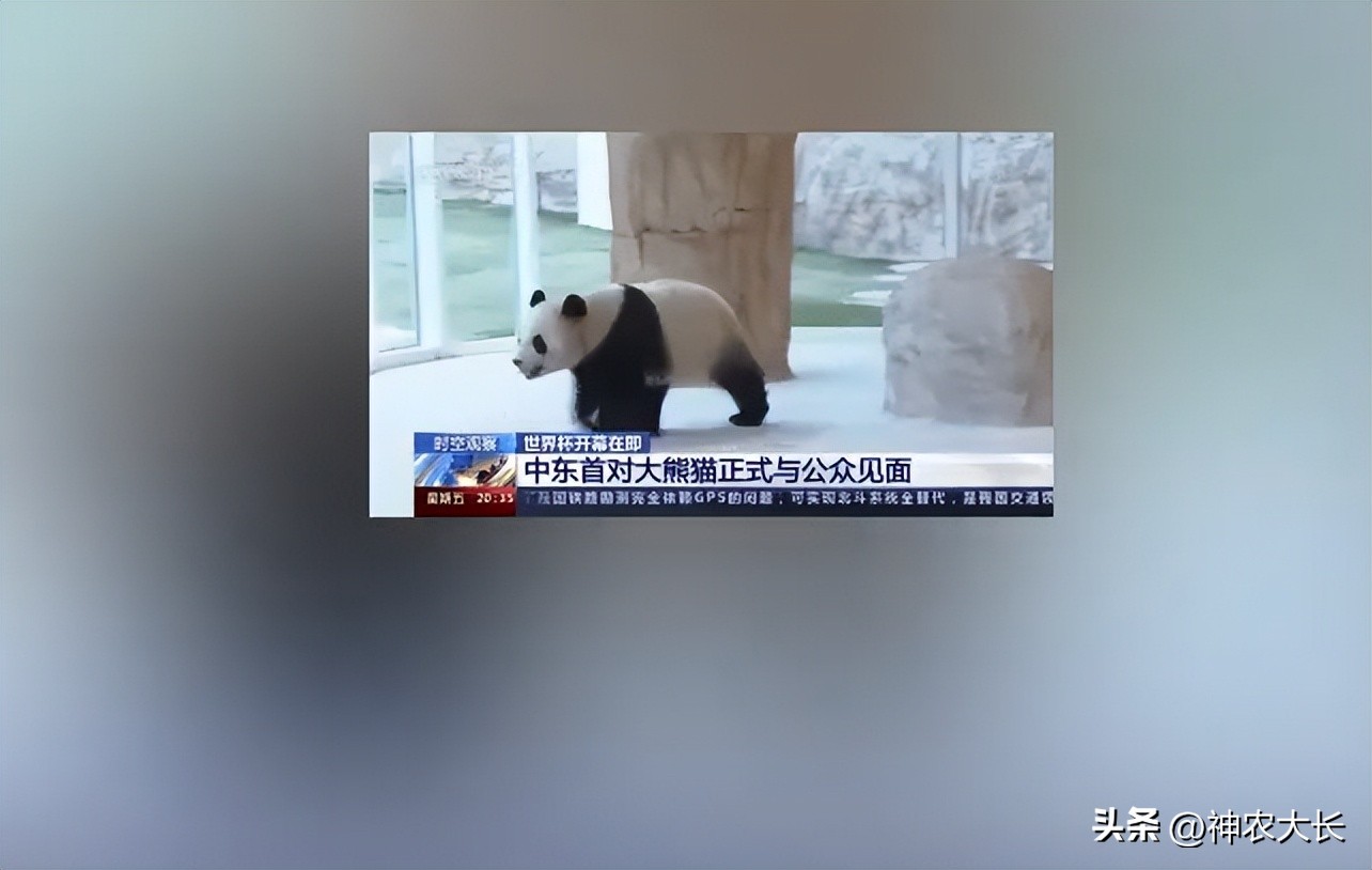 中国来了,世界杯中国2016