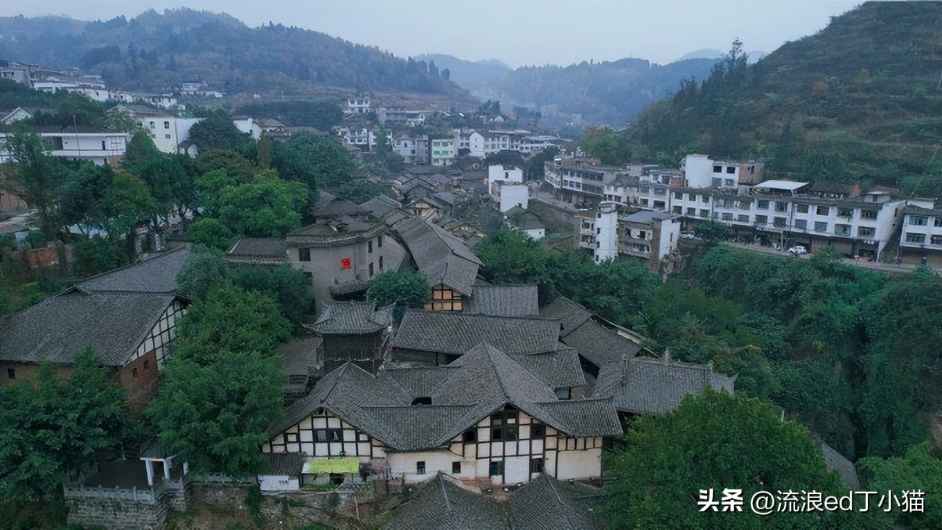 舌尖上的中国泸州古蔺椒麻鸡,古蔺麻辣鸡是哪里的特色小吃