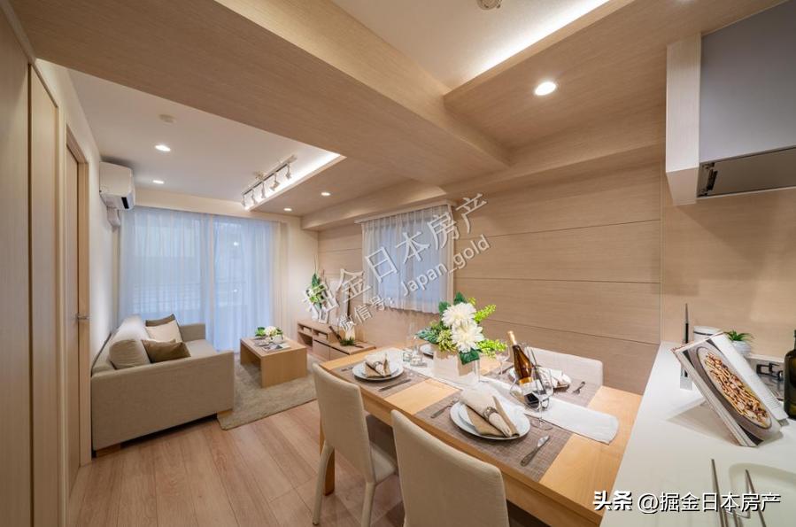 东京豪华2居室公寓,东京2ldk公寓多少钱