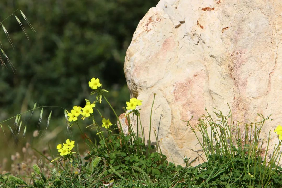 精选整理100个千古名句,一生必背的100个千古名句