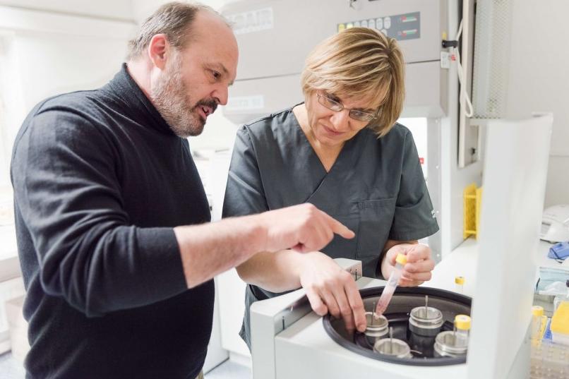 预计到2023年，头发克隆市场将达到240亿美元