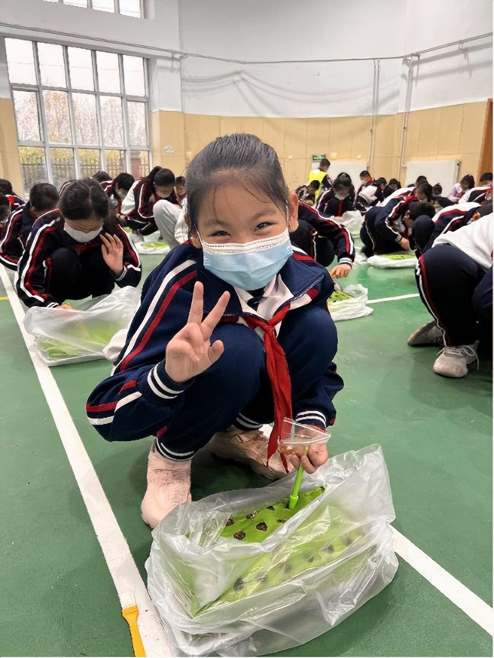 双减在小学如何落实,双减小学低年级