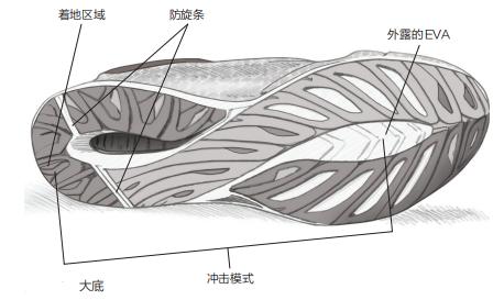 跑者跑步知识,跑者常识大全