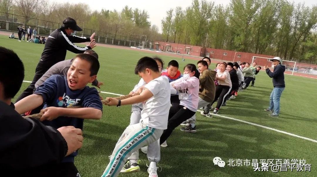 赋能于师丨城区学区在行动!