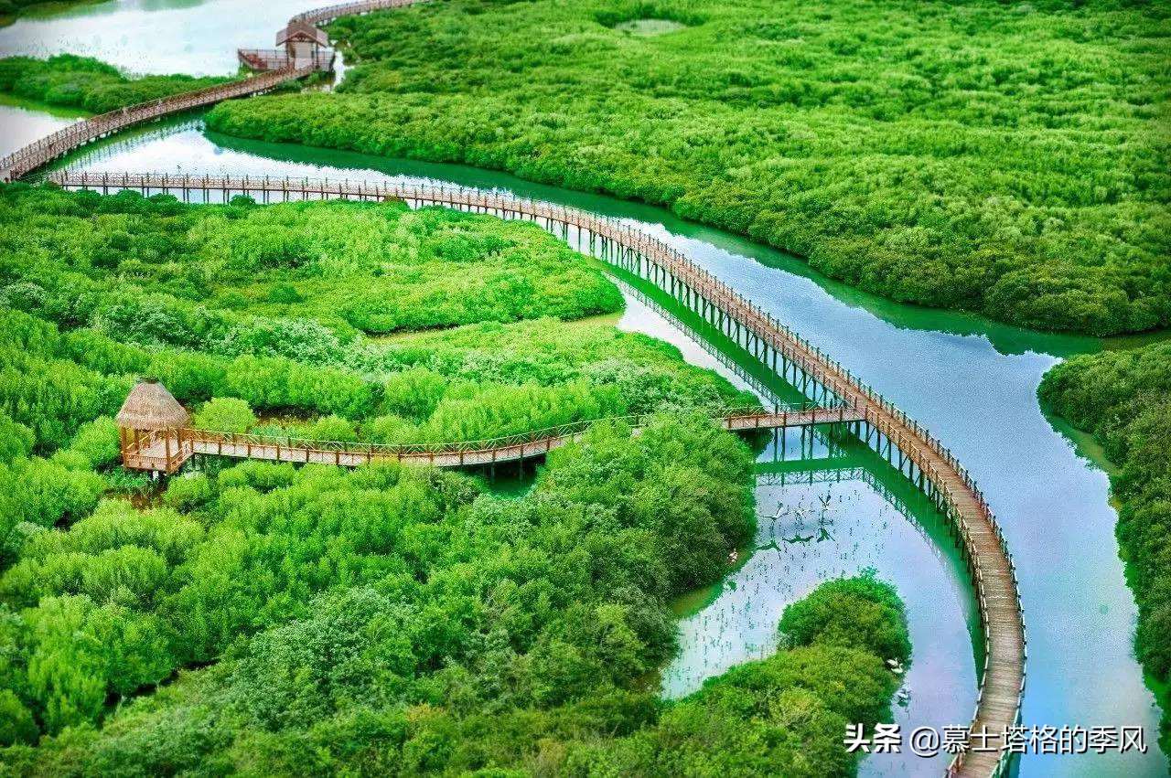 海南被低估的县,海南西线为何不适合度假养老