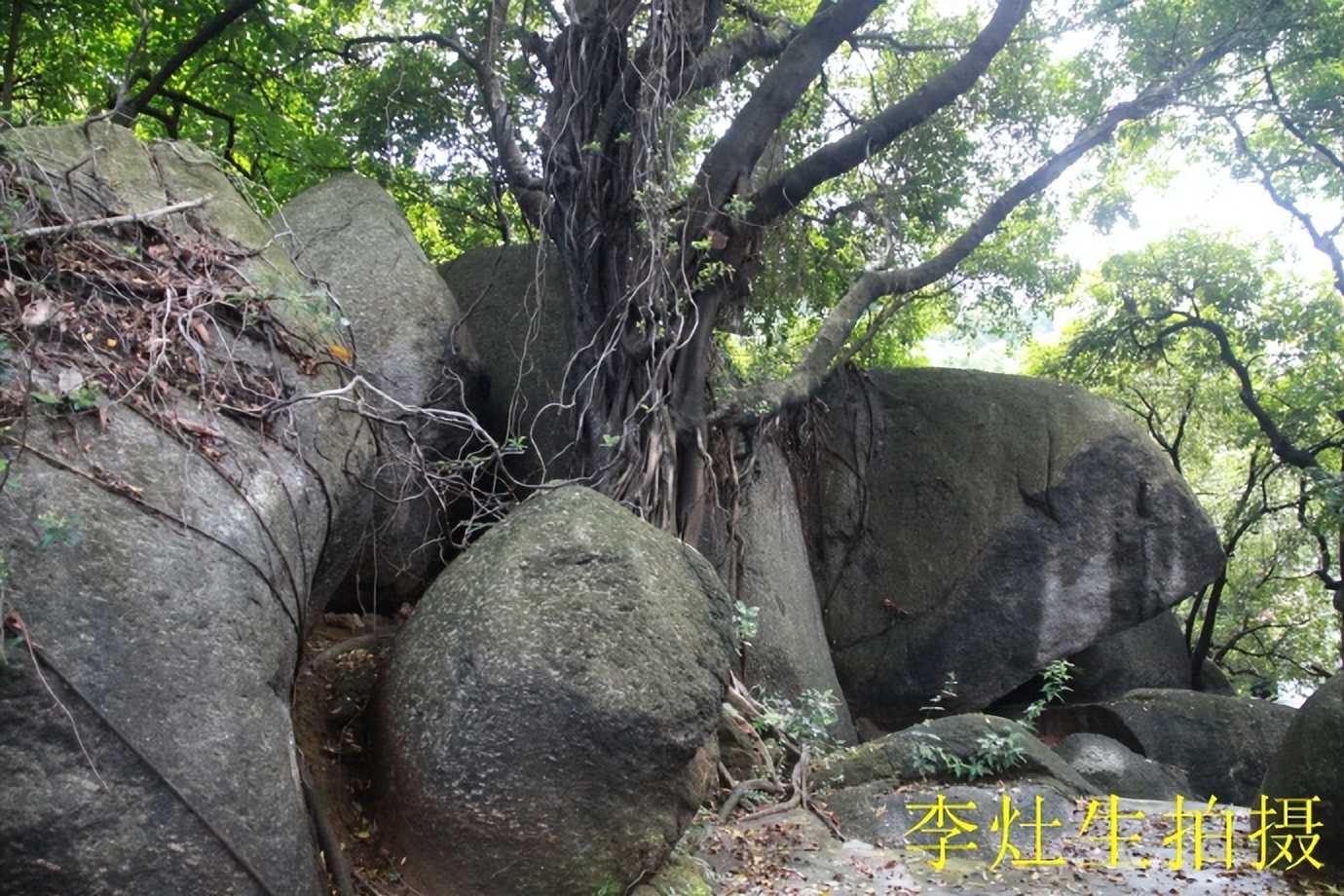 杨四将军庙简介,杨四将军庙在哪个位置