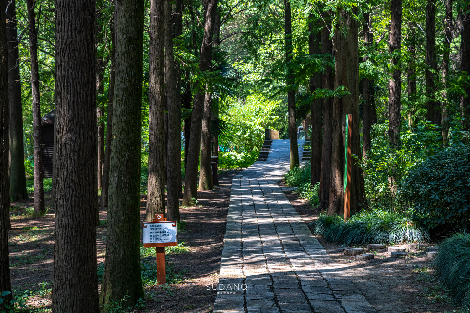 苏州吴江区六大名镇,苏州吴江最有发展区是哪里