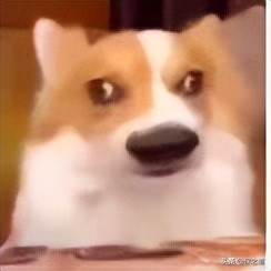 易安财险破产后的保单怎么办,易安保险破产重整理赔怎么办