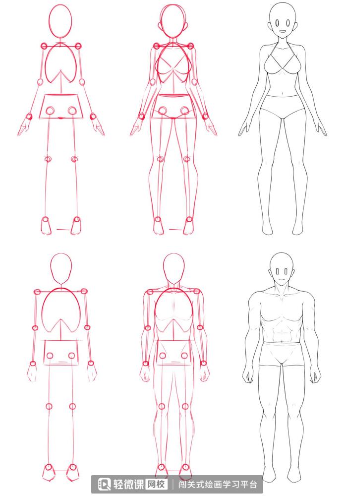 如何画人体结构动漫人物,漫画人体结构怎么画好看