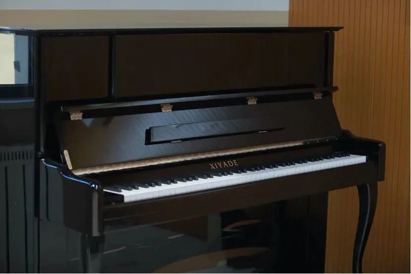 公办学校就近划片入学,坚持划片对口就近入学的基本原则