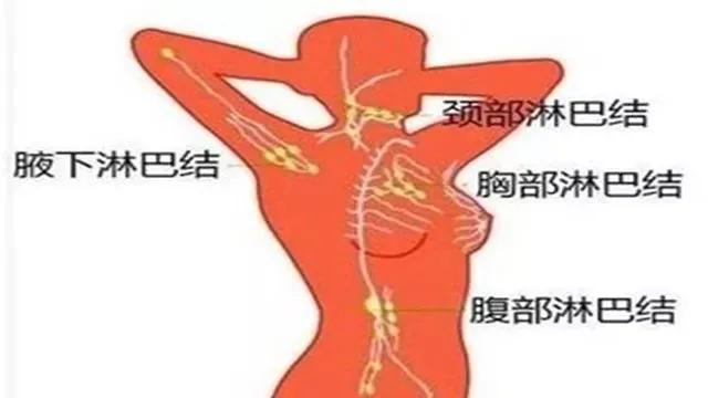 小孩脖子淋巴结有疙瘩一直存在,淋巴结发炎脖子上有疙瘩怎么办