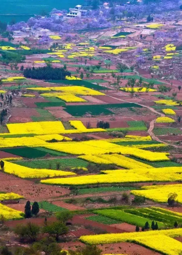 农村自建房的土地可以转让吗,农村房屋转让给个人合法吗
