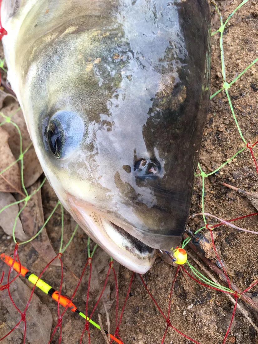 珠珠钓法适合在什么季节钓效果好,珠珠钓法适合哪些水域