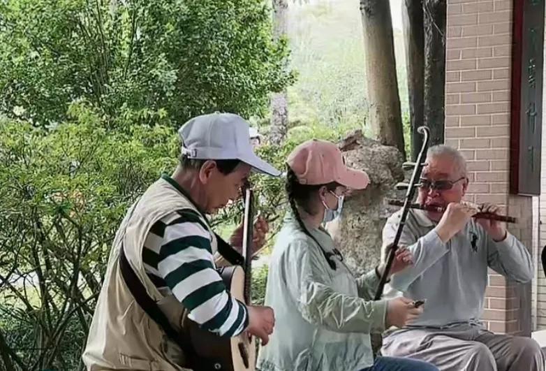 公园二胡真实水平,二胡表达的是什么