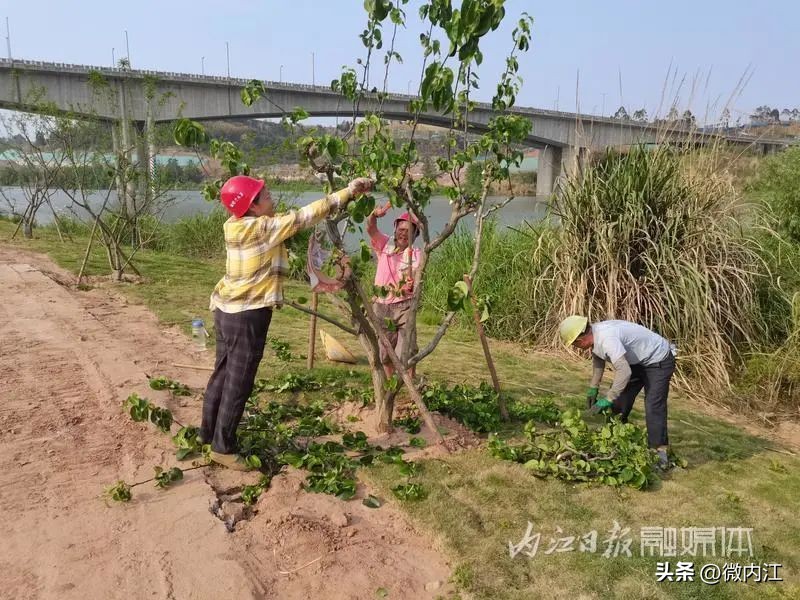 重磅!3年投资8.6亿,内江城区将建18处“大景”