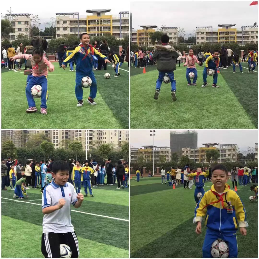 鼎湖人,肇庆市鼎湖人口