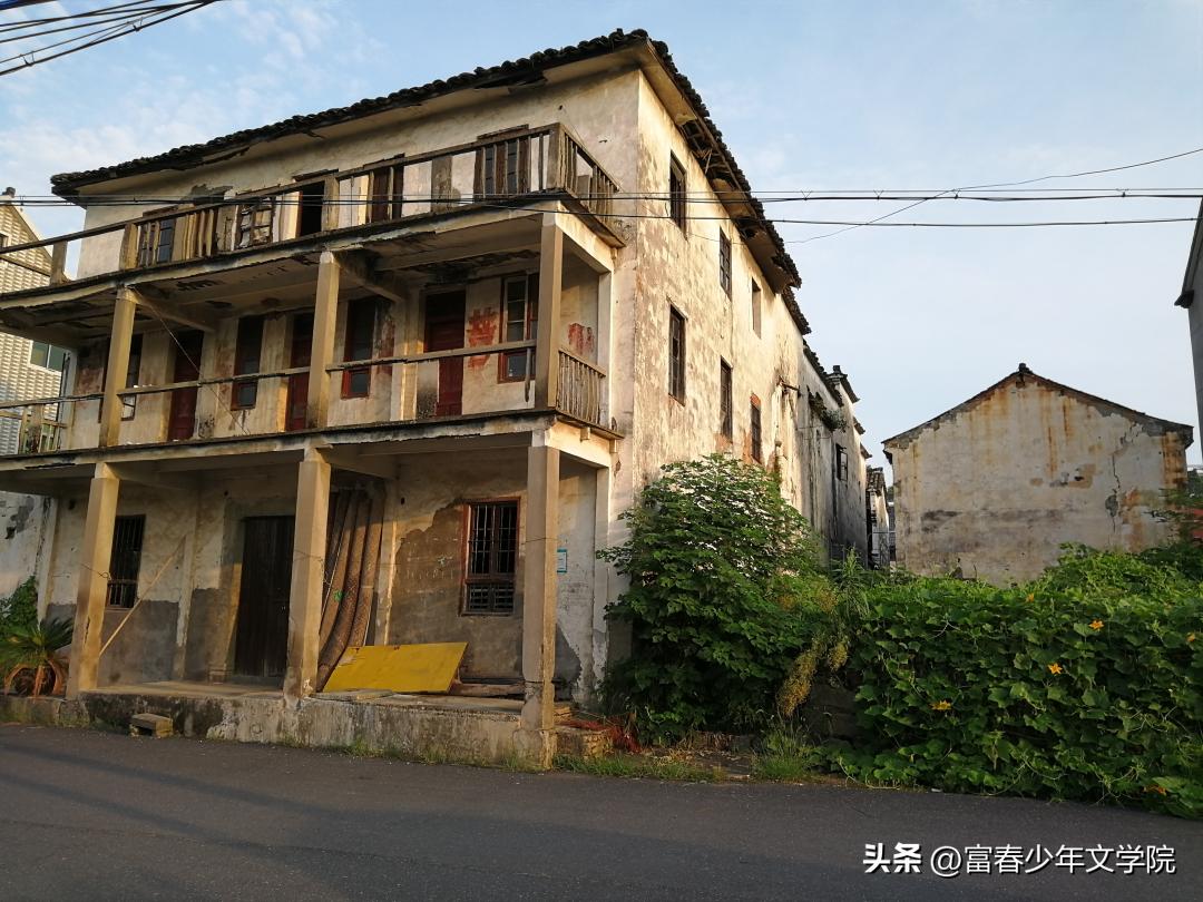 叶青青|中医外科（疖毒）专家叶效良先生