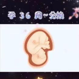 胎儿健康发育的基本知识,十秒钟带你了解胎儿发育