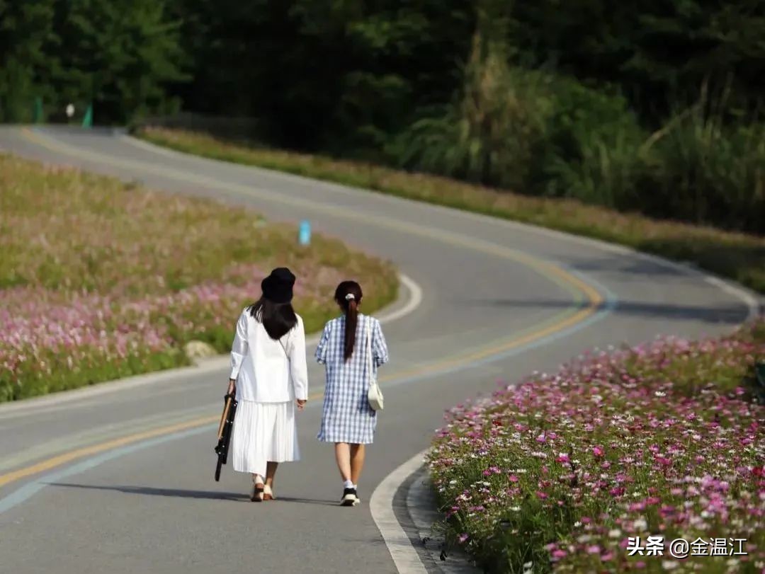 藏不住了！《梦华录》同款宋韵美学，就在温江这些地方→