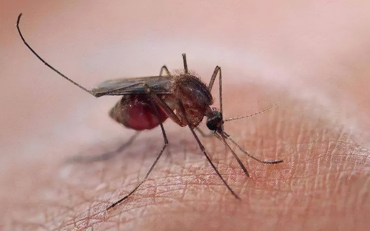 毛发剃掉后的危害,毛发剃掉后会长得更粗吗