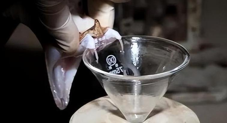 广西“蛇毒王后”：家藏价值47亿蛇毒，美国人送悍马讨好她求合作