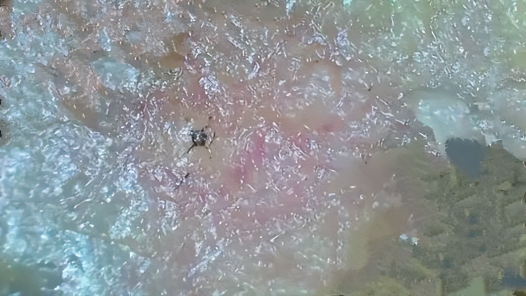 <html>
<head><title>502BadGateway</title></head>
<body>
<center><h1>502BadGateway</h1></center>
<hr><center>nginx</center>
</body>
</html>
<!--apaddingtodisableMSIEandChromefriendlyerrorpage-->
<!--apaddingtodisableMSIEandChromefriendlyerrorpage-->
<!--apaddingtodisableMSIEandChromefriendlyerrorpage-->
<!--apaddingtodisableMSIEandChromefriendlyerrorpage-->
<!--apaddingtodisableMSIEandChromefriendlyerrorpage-->
<!--apaddingtodisableMSIEandChromefriendlyerrorpage-->
