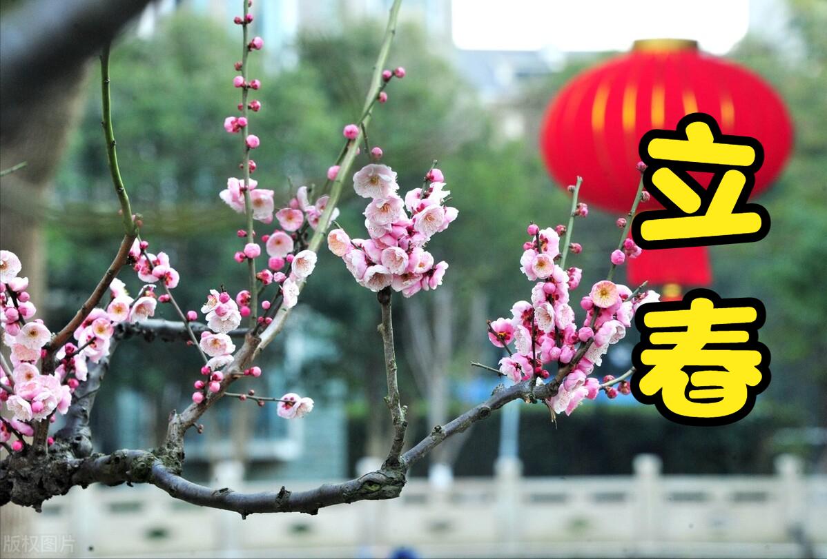 “春打五九尾，家家迈不开腿”，啥意思？2023年立春在五九尾吗？