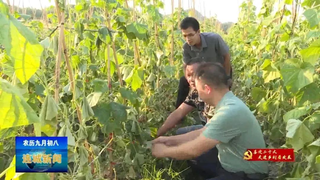 喜迎党的二十大乡村振兴,喜迎二十大乡村建设