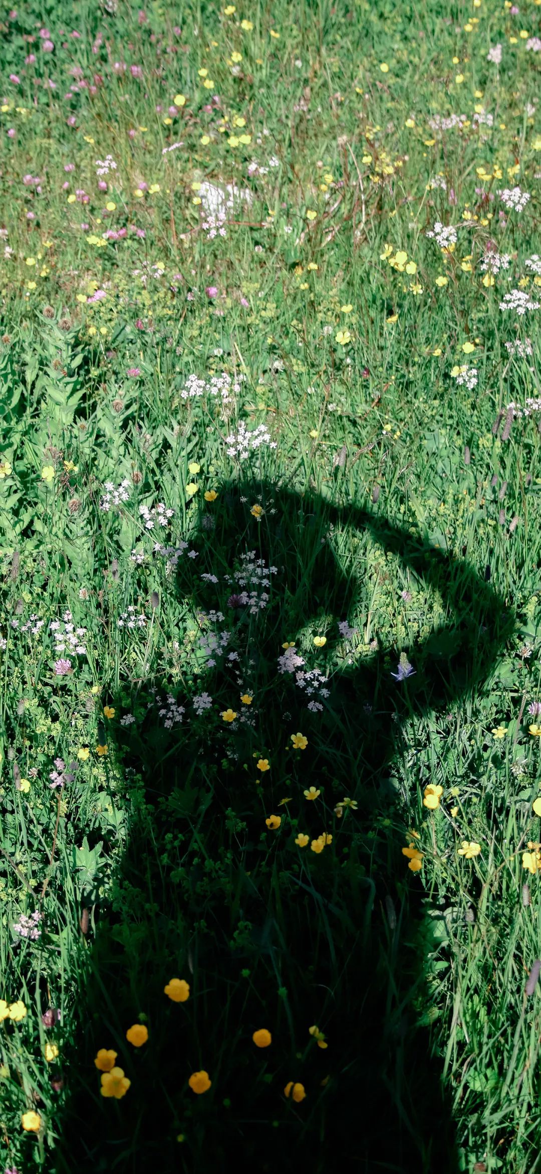 潮图壁纸抖音网红手机壁纸高清,抖音黑色系高级女生壁纸