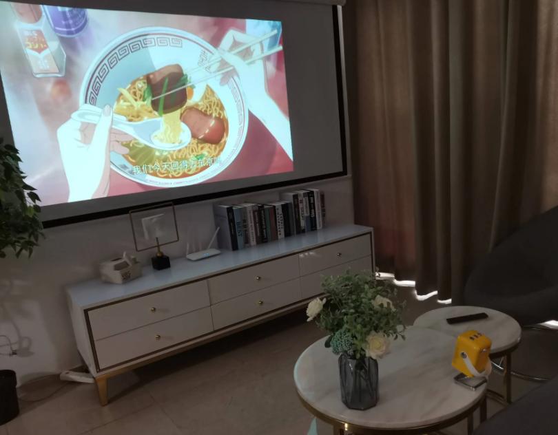 用过两台投影仪的血泪教训，别只看价格，画质效果也很重要