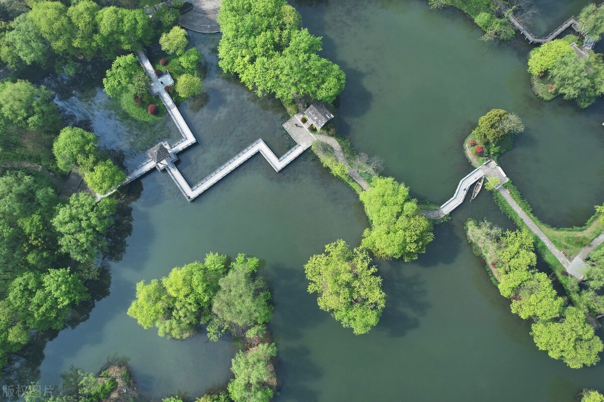 巨蟹座狮子座处女座今日运势,狮子座巨蟹座下半月运势