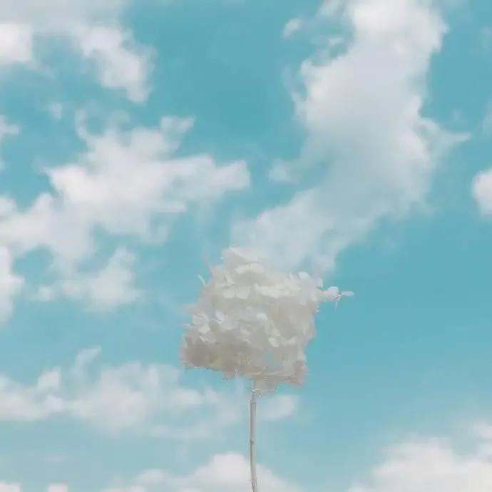 生活中总会遇见不一样的人,生活中处处有表里不一的人