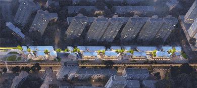 鸽王争霸,鸽王争霸赛开幕