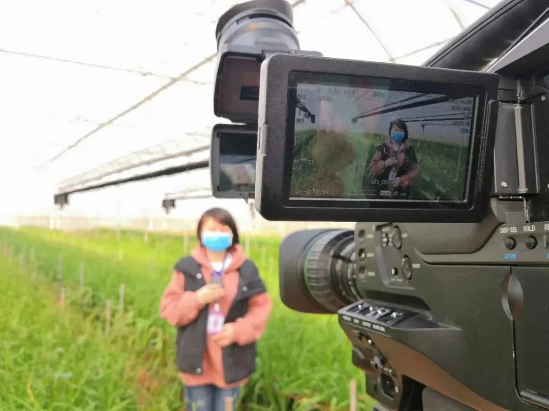 加强正面宣传营造舆论导向,加强舆论建设我们该怎么做