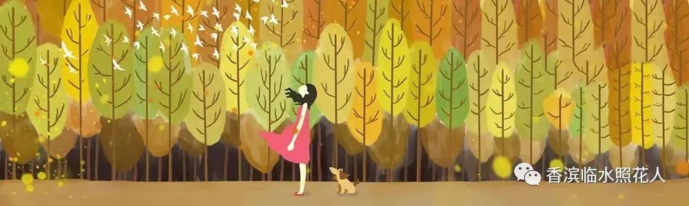 五年级第一单元我的心爱之物书,我的心爱之物小熊笔袋作文五年级