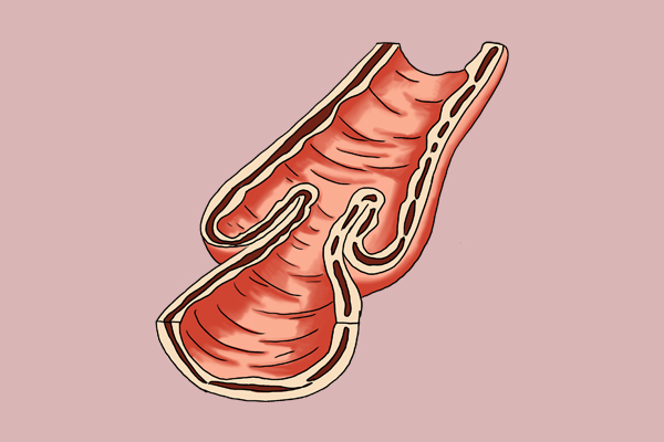 肠镜一般几年做一次比较合适,不要盲目做肠镜的危害有多大