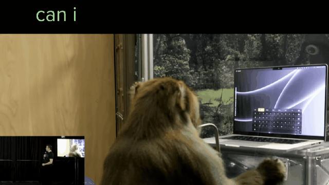 埃隆马斯克人工智能视频,埃隆马斯克猴子实验