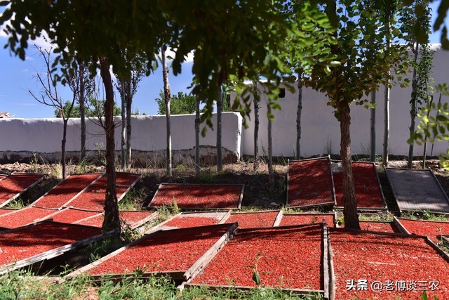 农民卖自家农产品违法吗,农民卖土特产违法吗