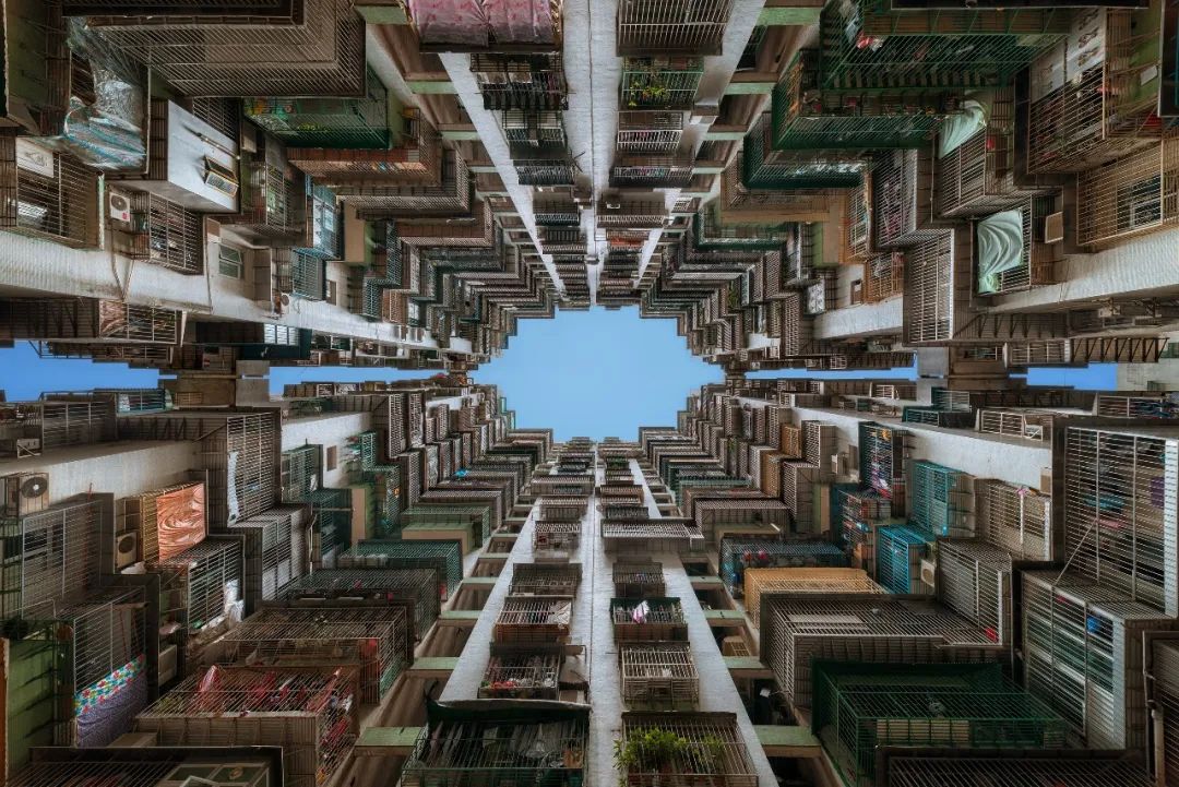 密集恐惧症一下被治好了,这位摄影师