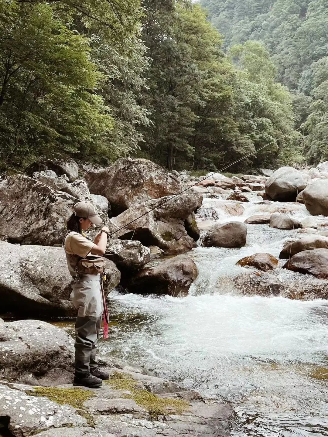 新手学钓鱼应该用什么鱼饵,想学钓鱼如何入门