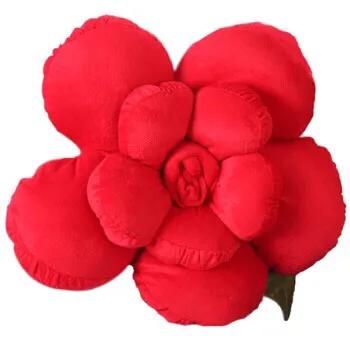 玫瑰花漂亮的图片,分享一个漂亮的玫瑰花图片