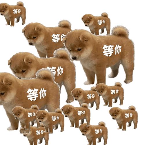 热门大牌精华怎么选好用,热门精华怎么选