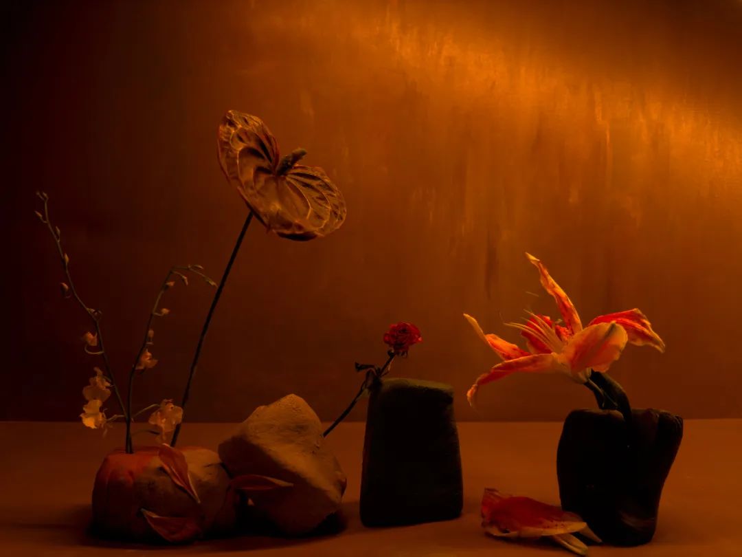 iphone14系列拍视频哪个最好,iphone14系列拍人好看吗