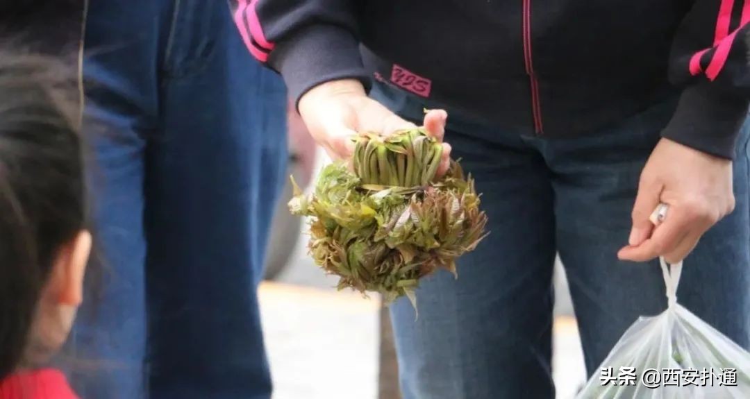 西安北郊最便宜菜市场在哪里,西安市全天人多的菜市场