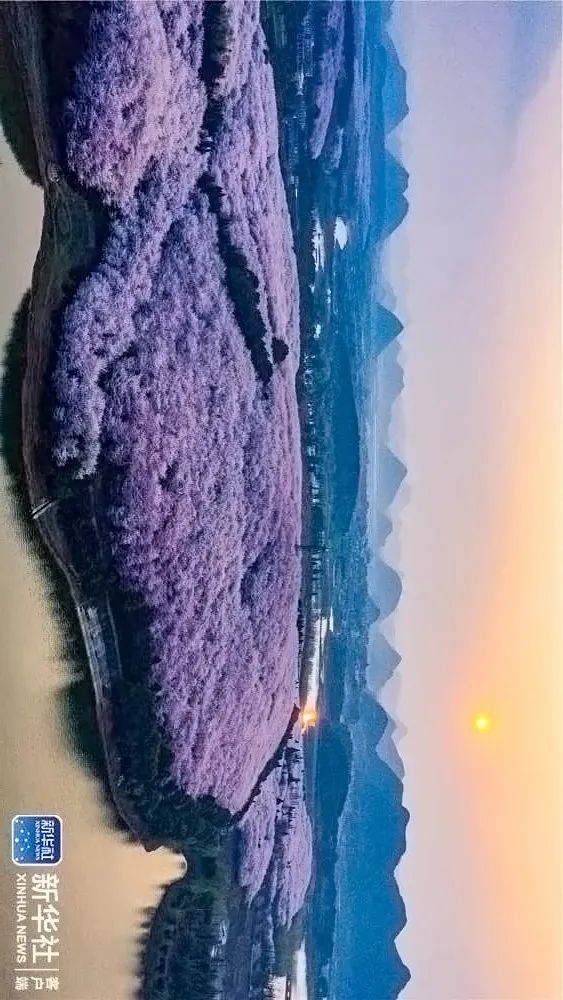 这里的秋色真美,这里的秋色绝美