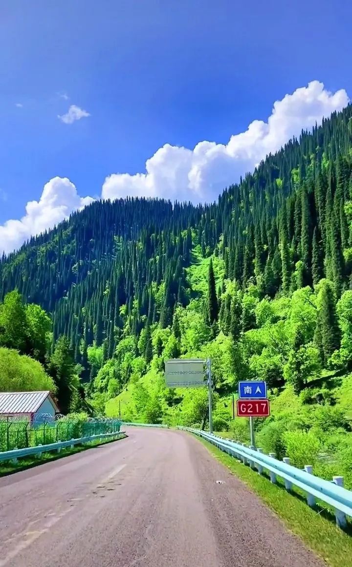 自驾游夏天避暑路线推荐,夏季旅游避暑自驾攻略图