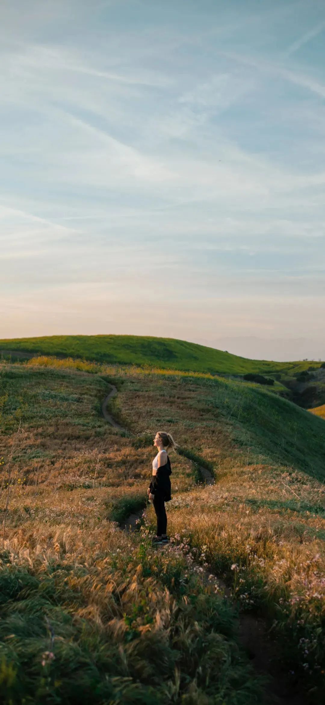 澹佺焊鎶栭煶澹佺焊,澹佺焊鎶栭煶澶у叏