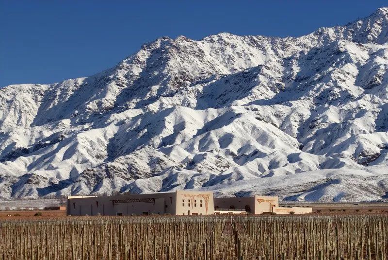 拉菲酒庄是罗斯柴尔德的嘛,拉菲罗斯柴尔德旗下酒庄