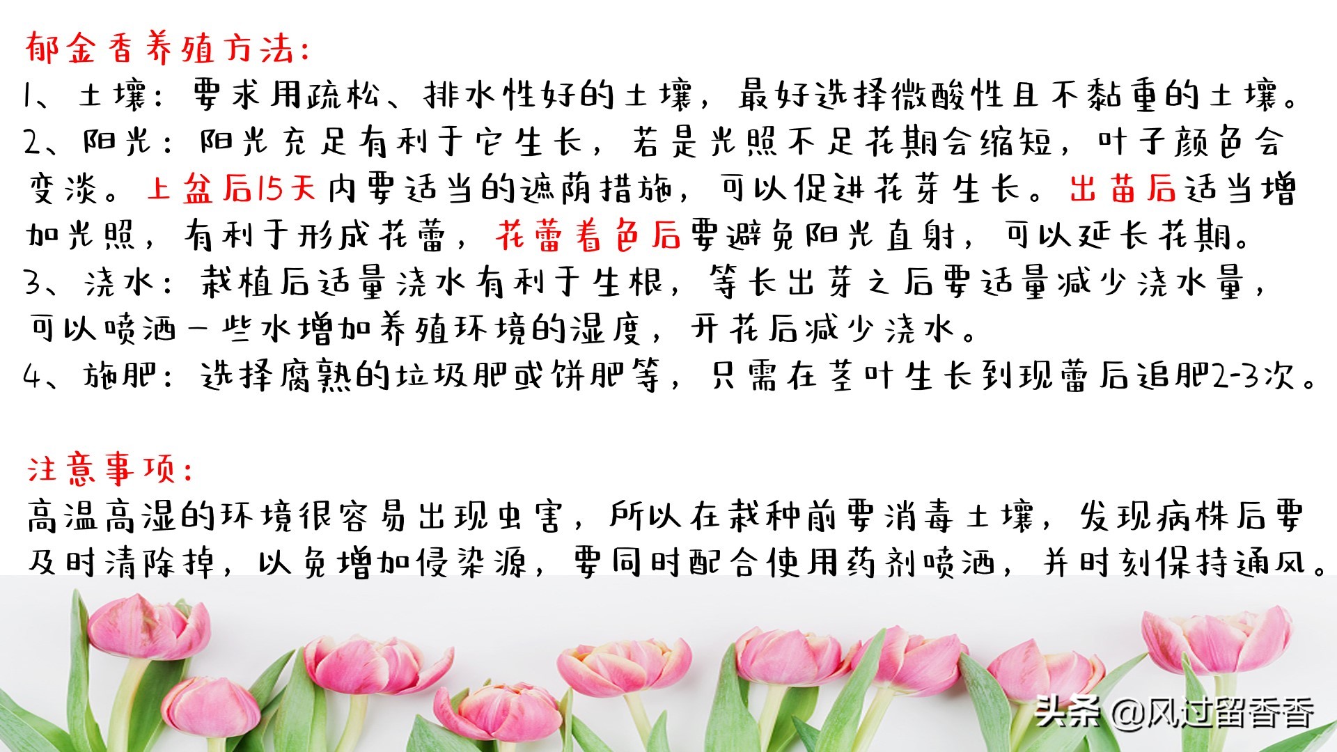 阳台养花教程推荐,阳台养花教程新手入门