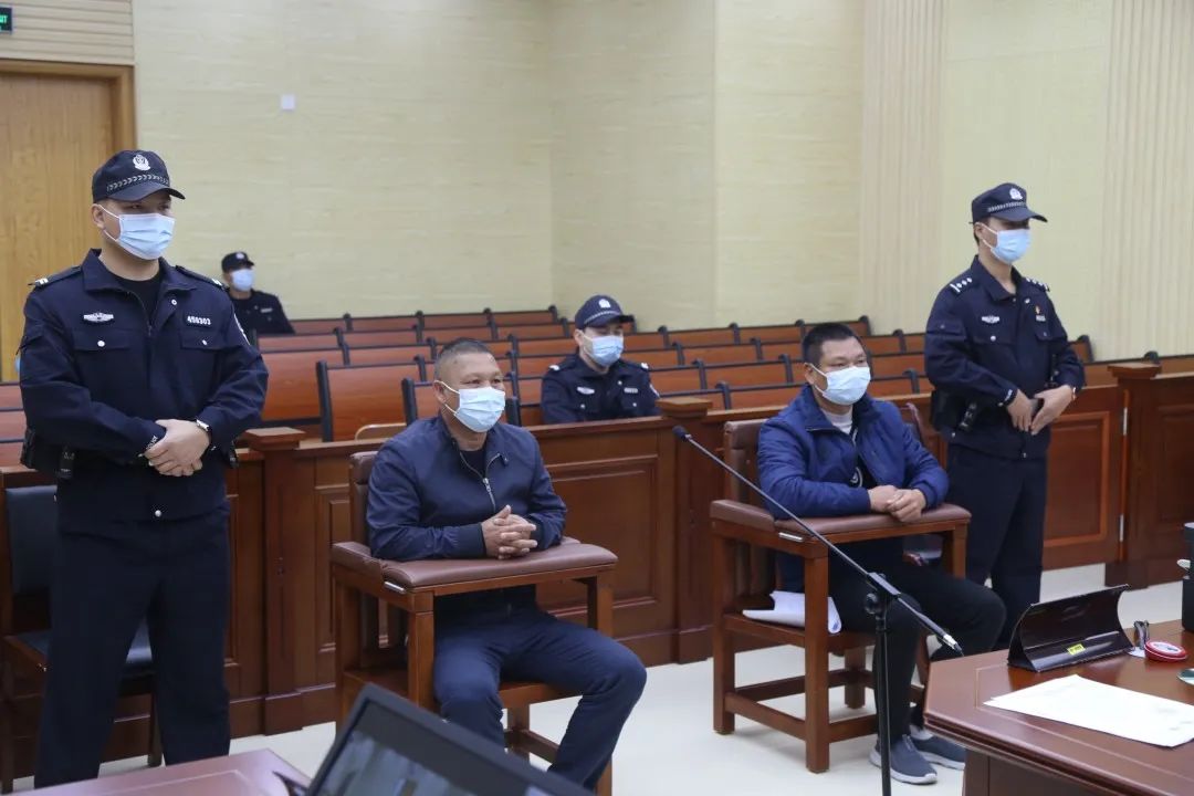 组织7人偷越国境罪定罪量刑,22人涉偷越国境案获刑